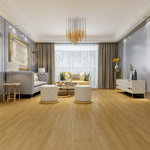 CMP1004 WPC ішкі еден