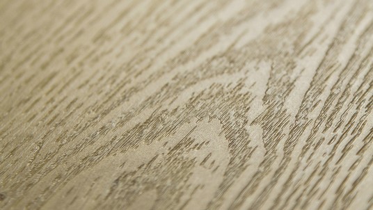E.I.R texture 2